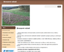 Náhled - http://bronzovenaradi.albums.cz